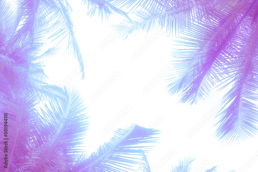 Clean white background with palm leaves around the edges. Toned lilac tropical template, space for text