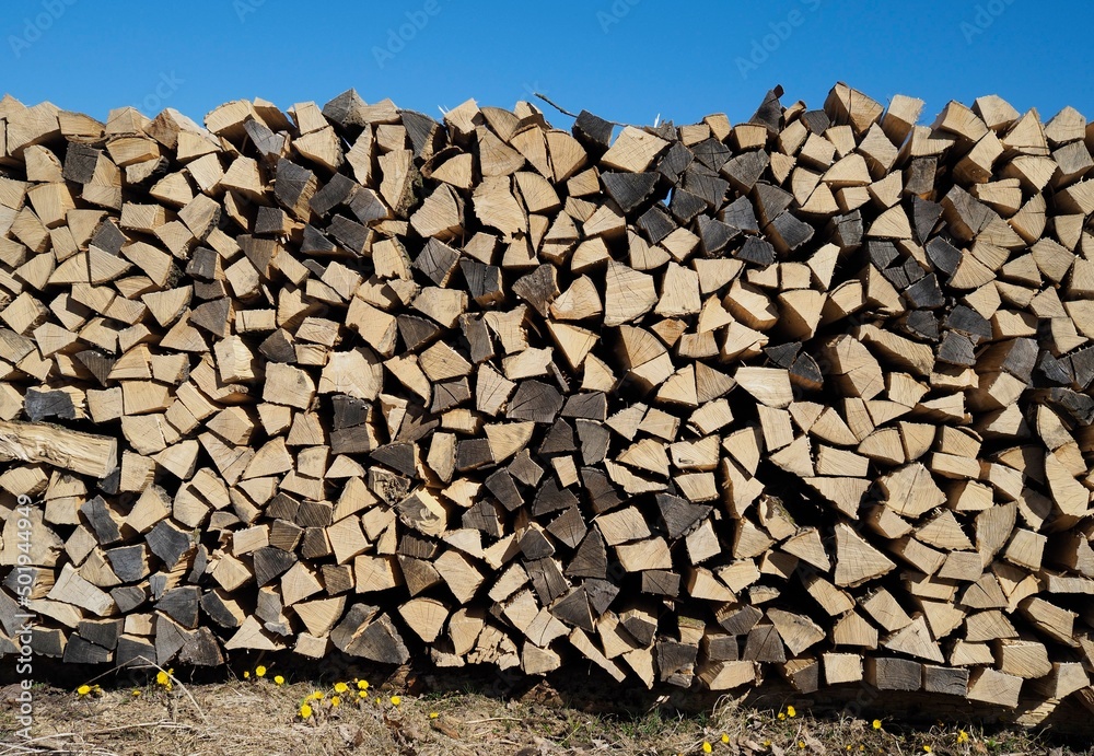 Wärmeenergie - Holzscheite lagern gestapelt im Wald	
