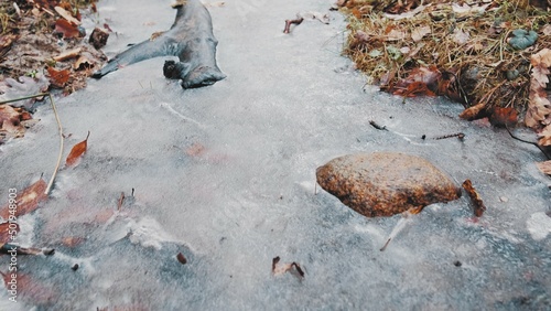 Brown Withered Forest Foliage Leaves Frozen Creek Push In Low Angle