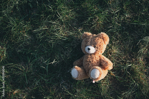 Photos teddy bear on the grass