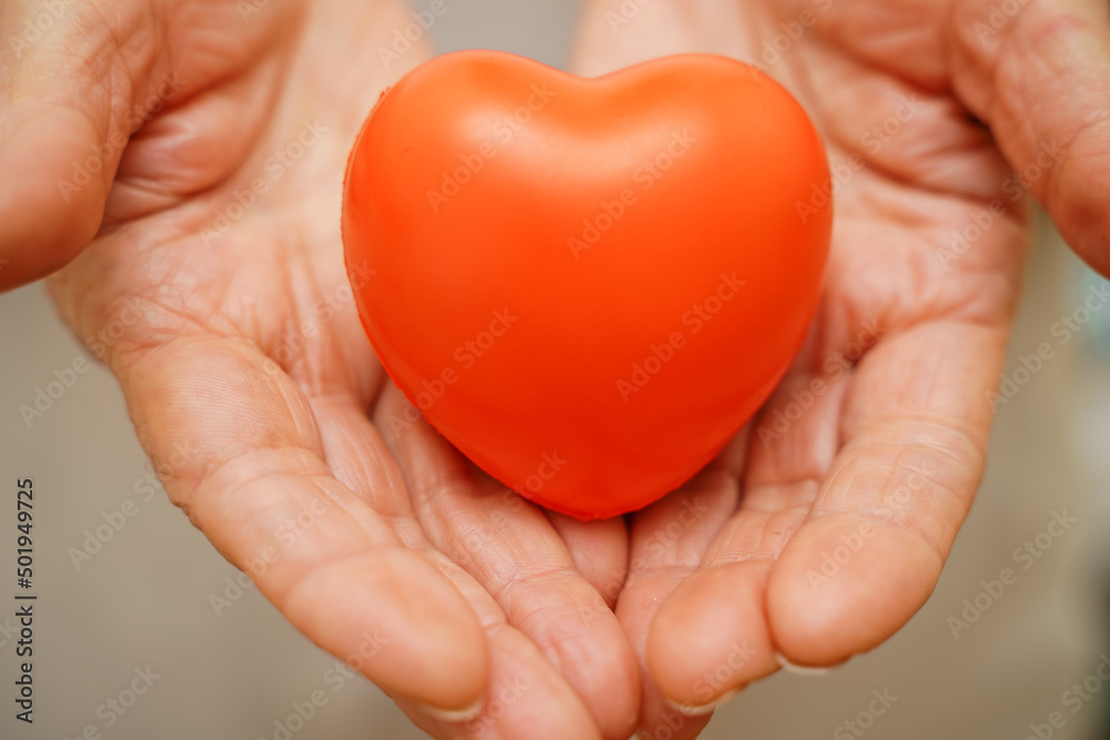 Fototapeta premium Hands holding red heart, healthcare, love, organ donation, mindfulness, wellbeing, family insurance and CSR concept, world heart day, world health day, national organ donor day