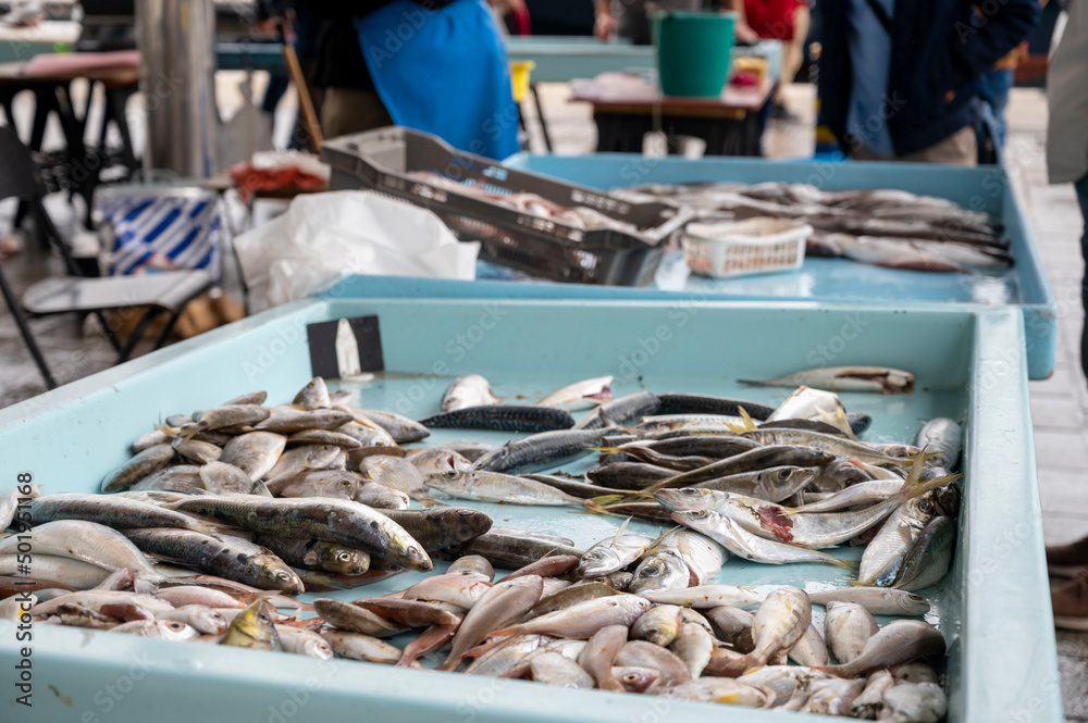 Catch of the day for sale on daily fish market in old port of Marseille, Provence, France