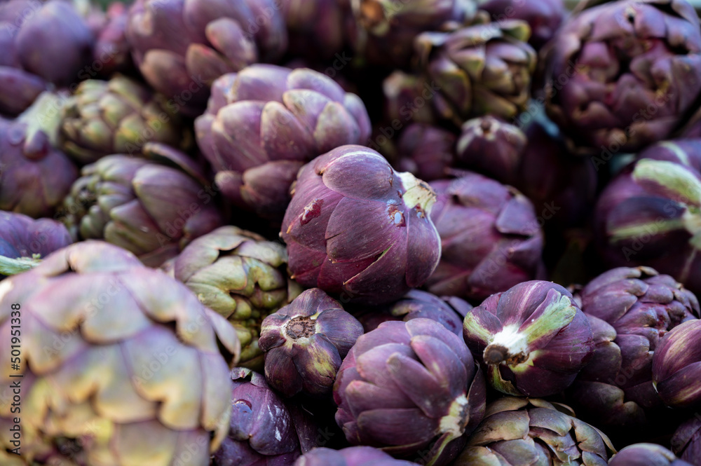 Obraz premium Fresh raw heads of artichokes plants for sale on farmers market