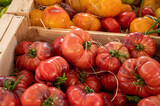 Colorful french ripe tasty tomatoes in assortment on Provencal market in Cassis, Provence, France
