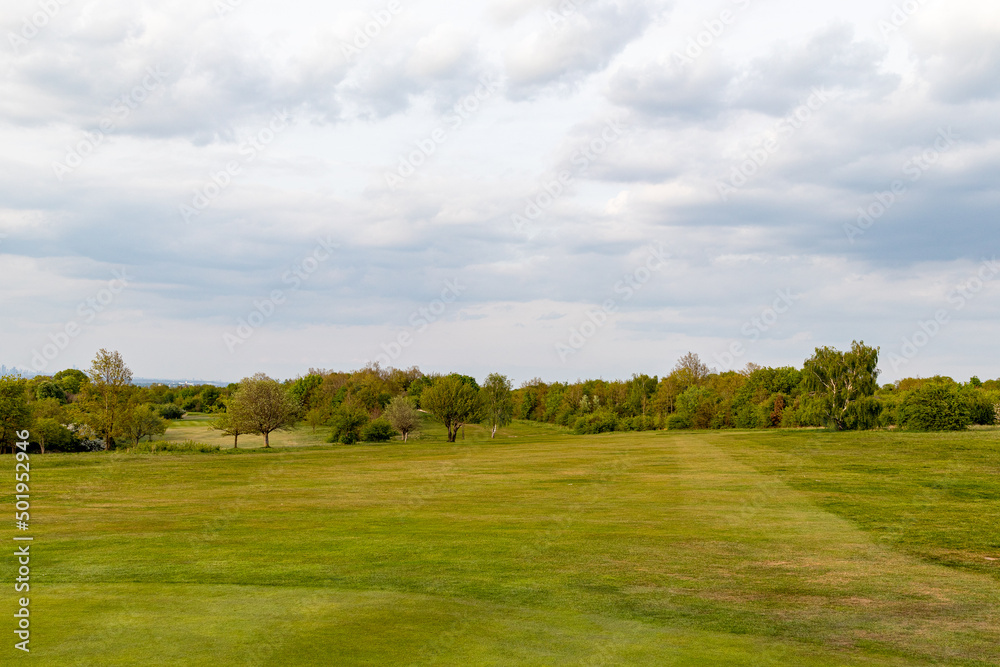 landscape with trees and blue sky