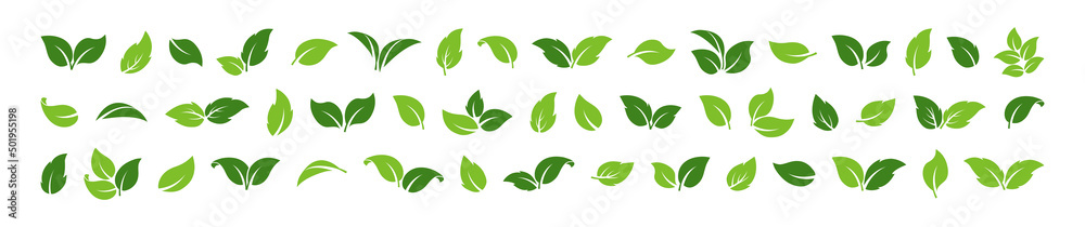 Green leaf vector icon, organic set, sprout plant, foliage different shape, eco symbol isolated on white background. Herbal nature illustration