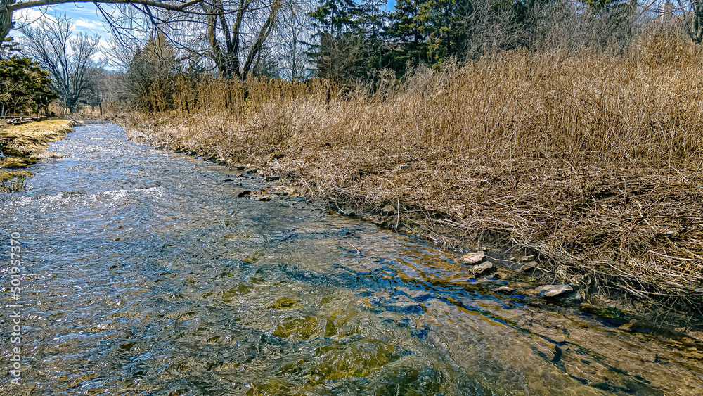 Springtime Snow Melt in Rural Wisconsin Creek