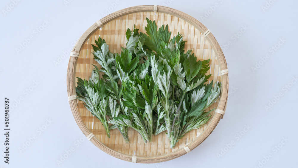 ヨモギの葉”Japanese mugwort”