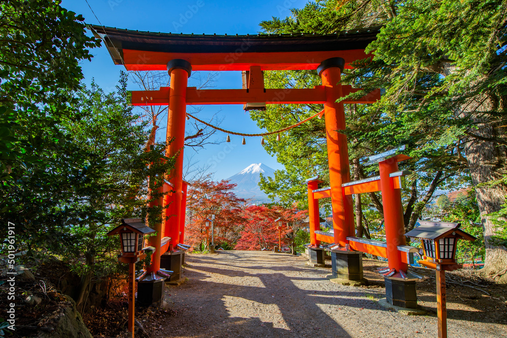Red Torii Gate with Fuji Mountain Background in Autumn at Chureito Pagoda, Japan	