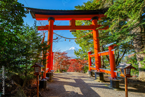 Red Torii Gate with Fuji Mountain Background in Autumn at Chureito Pagoda  Japan 