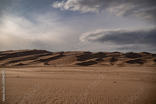Fototapeta Naklejka Na Ścianę i Meble -  Contrasting sand dunes