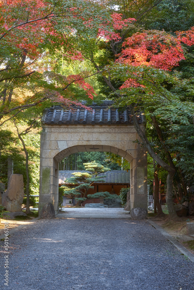 Fototapeta premium Shomon (front) gate of Toganji temple. Nagoya. Japan