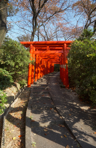 Red tori gates at Nagoya Branch of Chiyo Inari Shrine. Nagoya. Japan