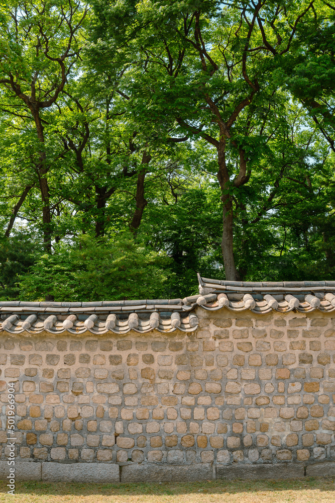 Korean traditional wall with green forest at Jongmyo Shrine in Seoul, Korea