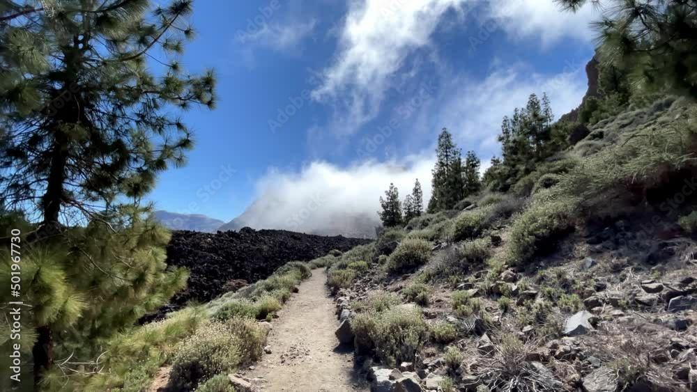 Which is the prettiest part of Tenerife?

What is special about Tenerife?