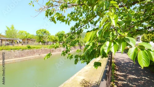 Fresh landscape of a river and leaves blowing in wind in summer,   Lake Biwa Canal in Kyoto in Japan, Slow motion footage photo