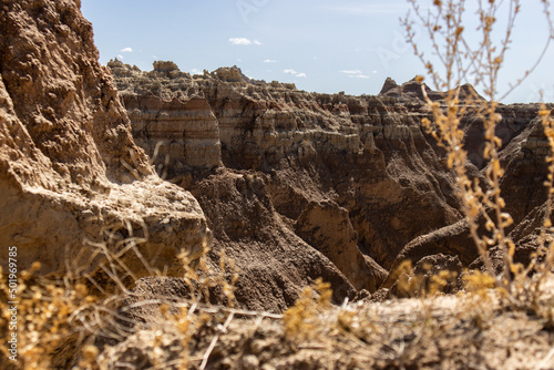 The sedimentary rock of Badlands National Park can be seen through some foliage in the foreground in South Dakota