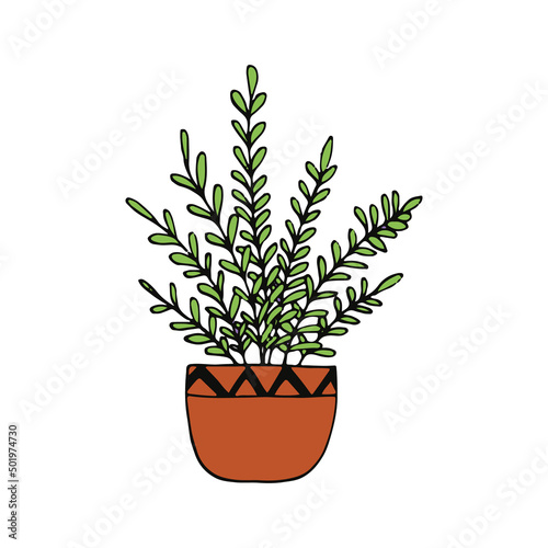 houseplant in a pot icon hand drawn. vector, minimalism, scandinavian, doodle, cartoon. sticker, plant, flower.