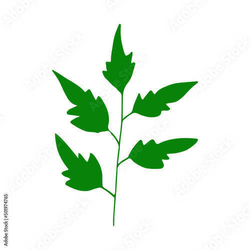 abstract leaves icon. hand drawn in doodle style. vector, simple, silhouette, minimalism. plant, herbarium.