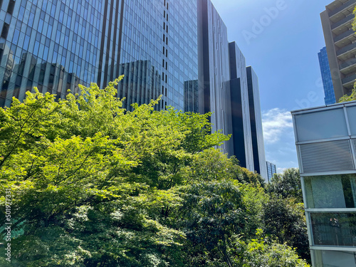 Beautiful fresh green and futuristic office buildings
