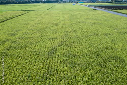 田園風景の空撮