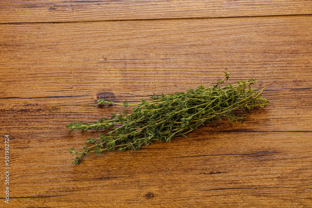 Fresh aroma green herb Thyme seasoning Fresh aroma green herb Thyme seasoning