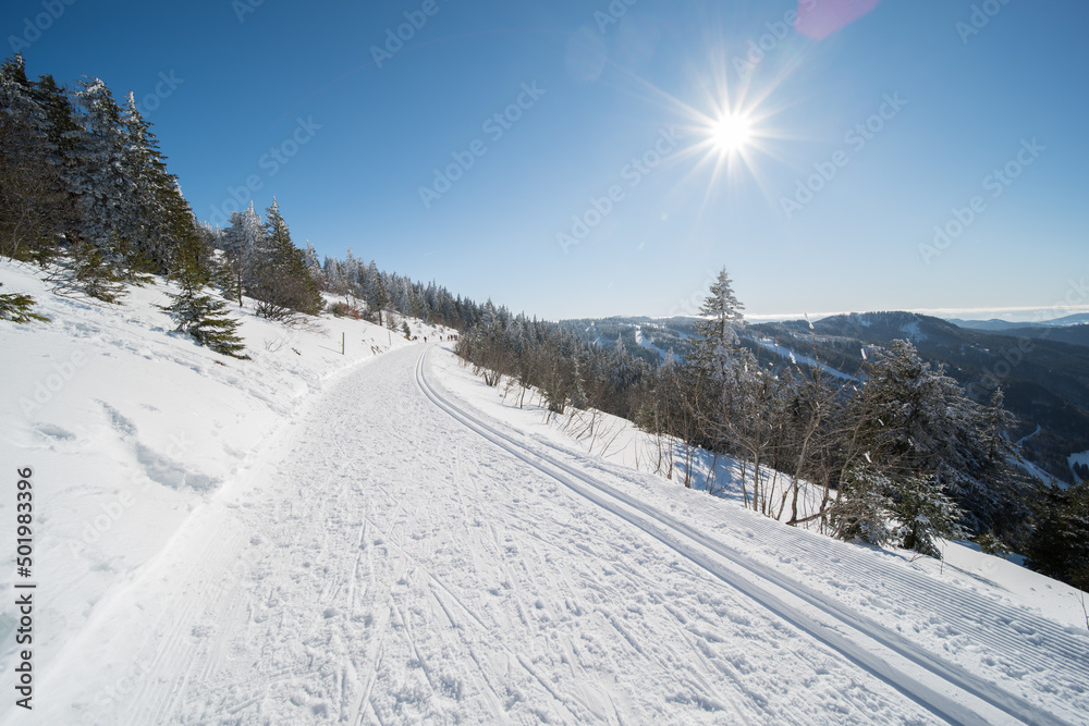 winter landscape at feldberg (1493m) in southern germany.