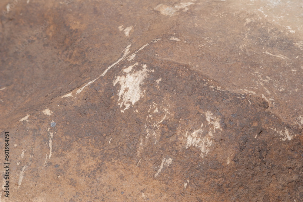 Obraz premium SONY DSC