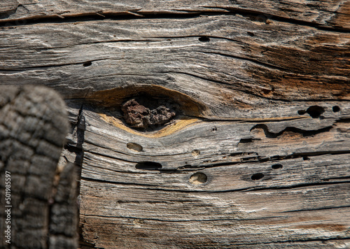 A defect on an old wooden board looks very much like an eye.