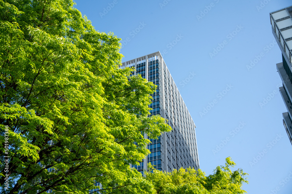 Futuristic Business district with Green in Tokyo city center, Shinagawa
