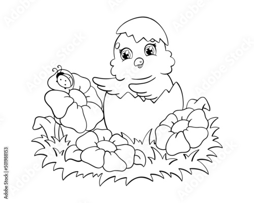 Cute chicken in the meadow. Coloring book page for kids. Cartoon style character. Vector illustration isolated on white background.