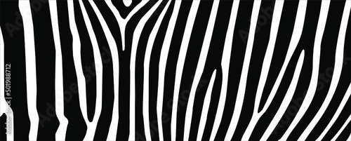 Zebra Seamless Motifs Pattern. Vector Illustration 