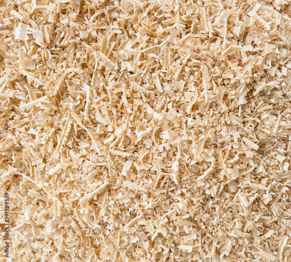 Sawdust or wood dust texture background. Wood sawdust background. Background texture sawdust shavings