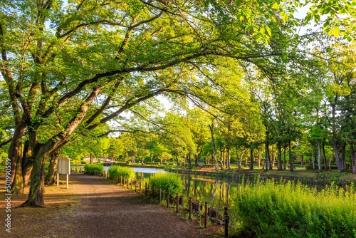 自然公園