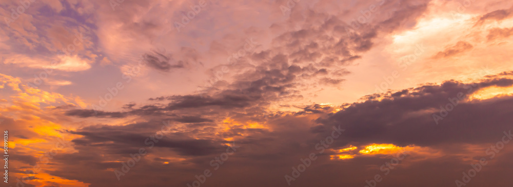 Fototapeta premium Amazing sunset and sunrise.Panorama silhouette tree in africa with sunset. Dark tree on open field dramatic sunrise.