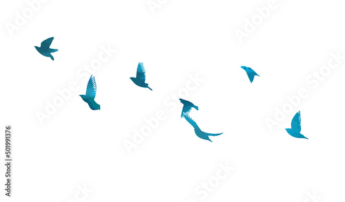 A flock of blue birds. Vector illustration