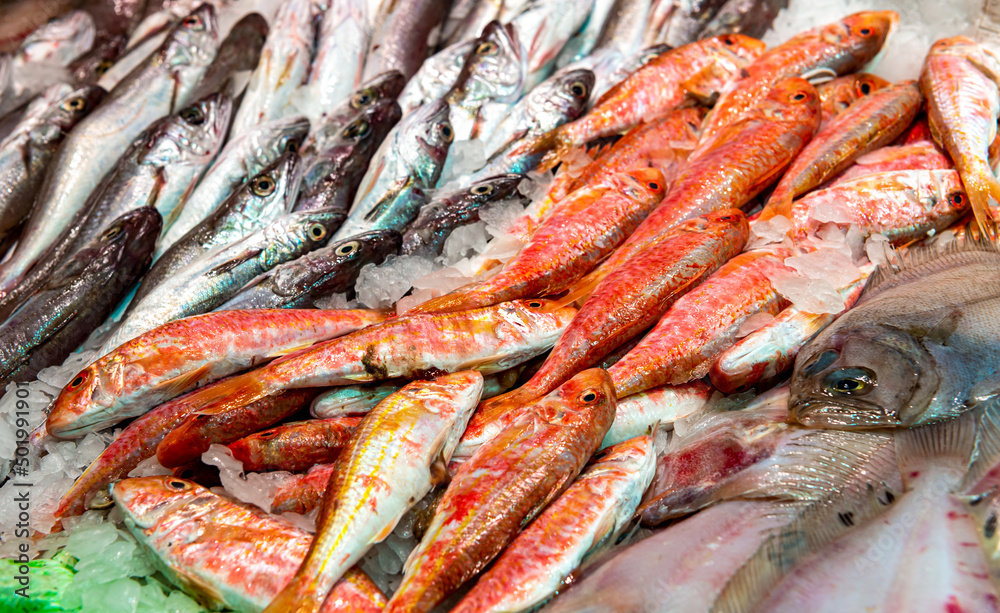 Fish Market. Sea fish in assortment on the ice market counter Fish Market. Sea fish in assortment on the ice market counter
