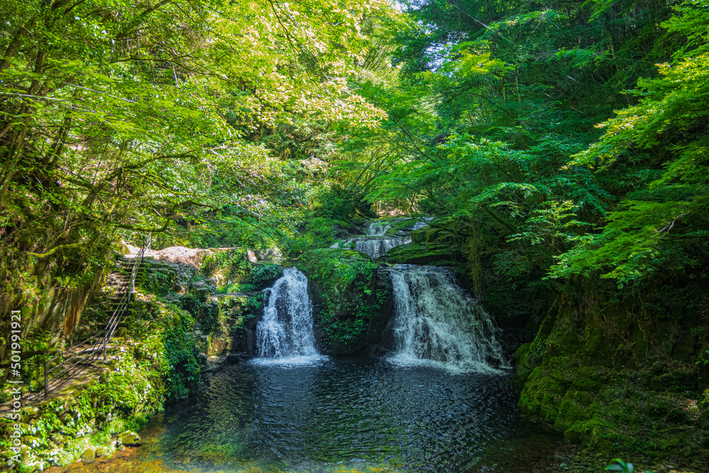 Obraz premium 赤目四十八滝 荷担滝