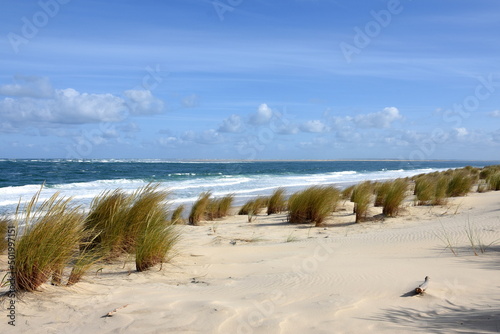 France, Aquitaine, côte atlantique, plage au sud du Bassin d'Arcachon à marée montante dans un magnifique site naturel. photo