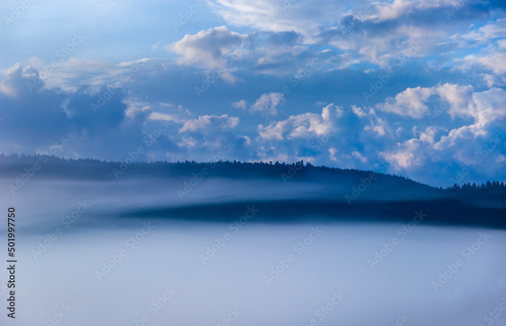 Fototapeta premium misty forest landscape in Carpathians, Ukraine