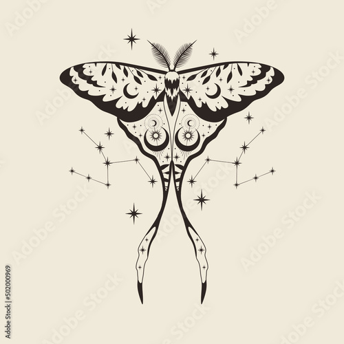 Vector illustration of moon moth. For print for T-shirts and bags, decor element. Mystical and magical, astrology illustration