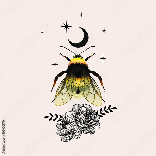 Vector illustration of bumblebee. For print for T-shirts and bags, decor element. Mystical and magical, astrology illustration