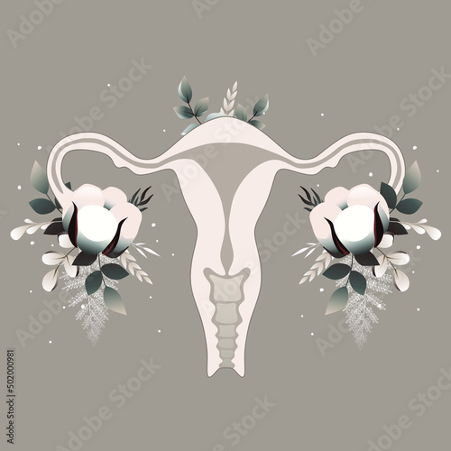 Organ of the uterus with cotton, female nature. Woman reproductive health illustration. Soft vector illustration.