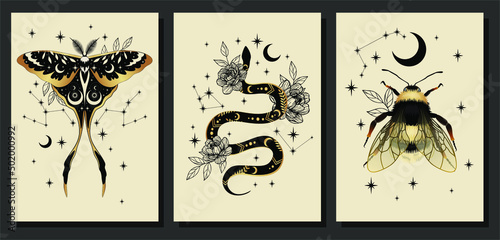 Magic wall art vector set. Decorative symbolic moth, snake, bumblebee and stars. Gold contour sketches, vector mythology set. Plant art design for printing, cover art, wallpaper.