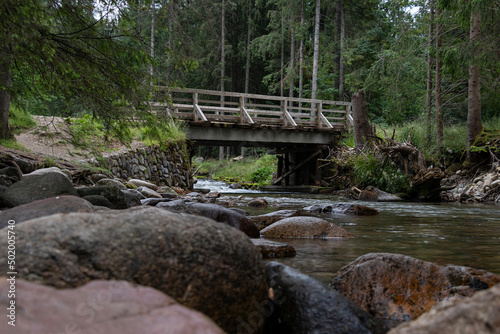 Bridge over the Kościeliski stream in the Kościeliska Valley in the Polish Western Tatras photo