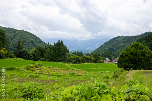 Rice fields in the mountainous areas of the plateau