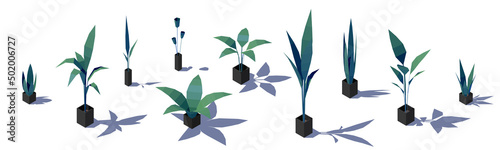 Set of isometric low poly potted plants. Vector illustration