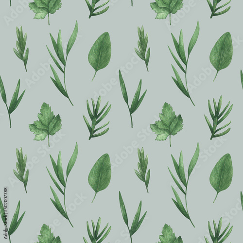 Botanical Seamless Pattern with Parsley  Basil  Willow  Lavender  Eucalyptus  Rosemary. Herbs and Spices on a pastel gray blue Background. Vintage Rural Style. 