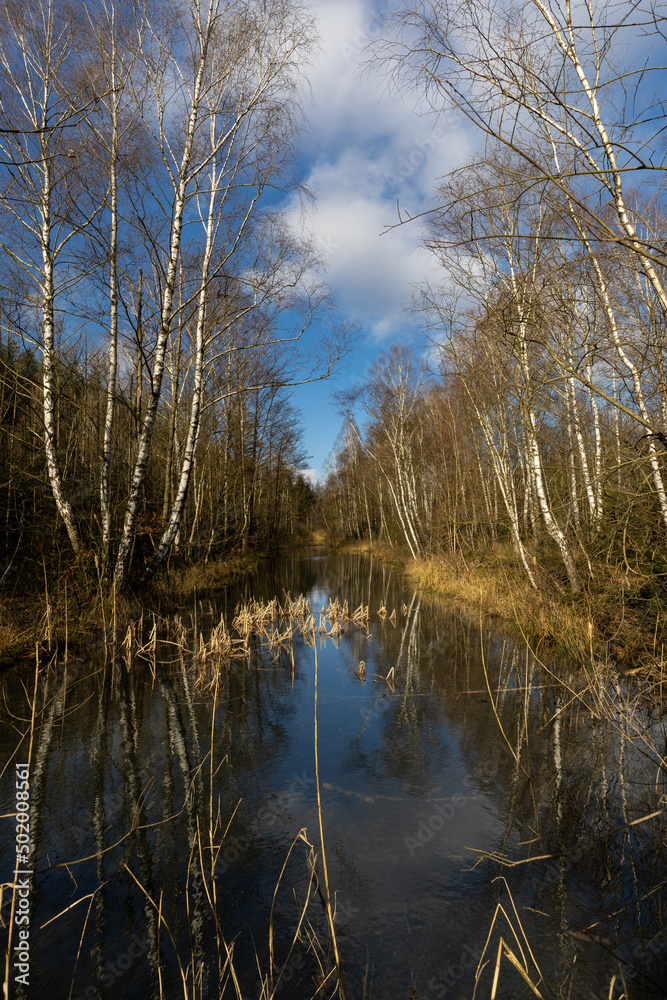 Bruchsee Duingen