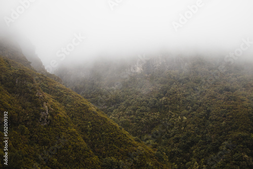 Pure and unspoilt nature on the long steep mountainsides around the Levada 25 fontes trail on the island of Madeira, Portugal. View of the jungle covered by fog